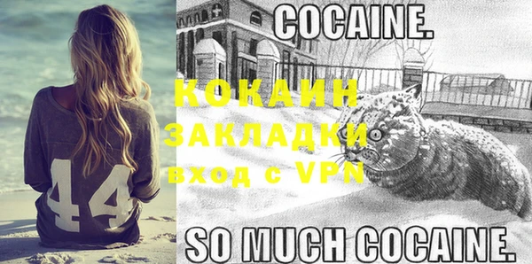 индика Абдулино